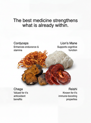 ABSOLUTE MEN'S PERFORMANCE FORMULA