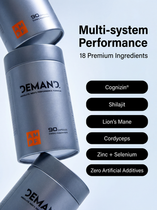 ABSOLUTE MEN'S PERFORMANCE FORMULA